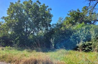 Grundstück zu kaufen in 7350 Oberpullendorf, GRUNDSTÜCK mit Architektur-Entwurfsplanung - 9 WOHNUNGEN in Zentrumsnähe