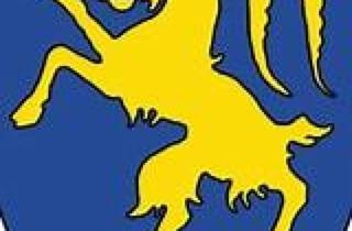 Grundstück zu kaufen in 6845 Hohenems, Preiswertes Grundstück mit Potential - Hohenems Reute