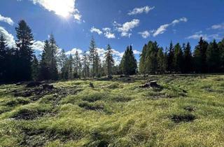 Grundstück zu kaufen in 9571 Sirnitz, Großes und sonniges Grundstück ideal für Investoren im Feriengebiet am Hochrindl