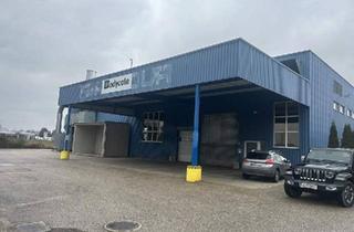 Büro zu mieten in 4614 Marchtrenk, Lager-/Produktionshalle mit Büro in Toplage direkt an der B 1 mit 2500 KVA Stromleistung und Hausbrunne