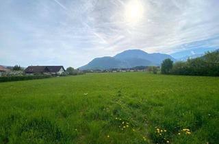 Grundstück zu kaufen in 9170 Ferlach, Großes GRUNDSTÜCK in ausgezeichneter Lage in Ferlach