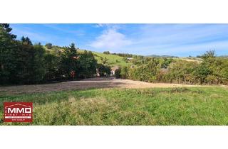 Grundstück zu kaufen in 3011 Untertullnerbach, OPTIMALE GELEGENHEIT! GRUNDSTÜCK MIT 14.641m², DAVON 2.359m² BAULAND IM IRENENTAL!