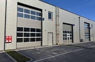 Gewerbeimmobilie kaufen in 4481 Asten, Betriebs-/Produktions- und Lagerhallen im FE Business Park Asten / St. Florian zu verkaufen (T08)