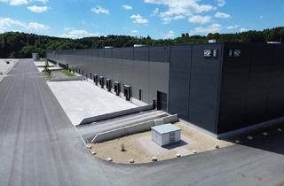 Büro zu mieten in 4810 Gmunden, Industrie- und Gewerbehallen mit Flächen von ca. 2.350 - 4.700 m² im VGP Park Ehrenfeld zu vermieten -direkt an A1 Westautobahn -Schnellbezug möglich!