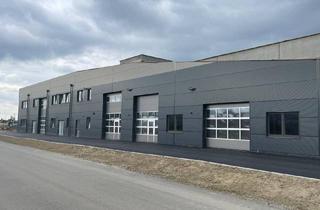 Büro zu mieten in 4052 Ansfelden, Gewerbe-/ Büro-/ Ordinations-/ Lagerflächen von 96 - 307 m² Fläche im Gewerbepark Ansfelden zu vermieten, Nähe A1 (Audorf Süd)