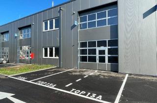 Büro zu mieten in 4844 Regau, SOFORTBEZUG! Betriebs-/ Produktions- oder Lagerhallen von 44 - 224 m² Fläche im Business Park Regau , 1A-Lage, Nähe A1 Westautobahn (Top 13a)