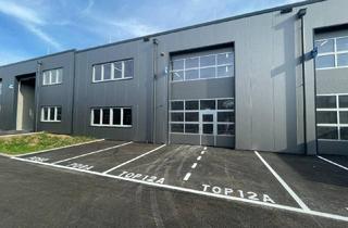 Büro zu mieten in 4844 Regau, SOFORTBEZUG! Betriebs-/ Produktions- oder Lagerhallen von 44 - 224 m² Fläche im Business Park Regau , 1A-Lage, Nähe A1 Westautobahn (Top 12a)