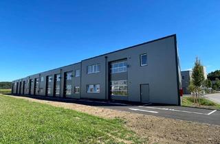 Büro zu mieten in 4844 Regau, SOFORTBEZUG! Betriebs-/ Produktions- oder Lagerhallen von 44 - 224 m² Fläche im Business Park Regau , 1A-Lage, Nähe A1 Westautobahn (Top 03b)
