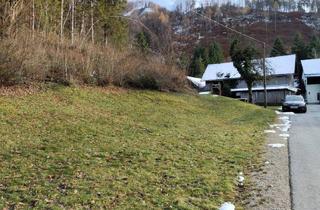 Grundstück zu kaufen in 3343 Hollenstein an der Ybbs, Baugrund in Grünruhelage