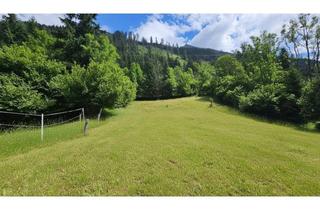 Grundstück zu kaufen in 9831 Innerfragant, Traumhaftes Baugrundstück in idyllischer Lage nahe Flattach, Kärnten