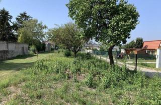 Grundstück zu kaufen in 2405 Bad Deutsch-Altenburg, Bauland mit Grünland | Bad Deutsch-Altenburg