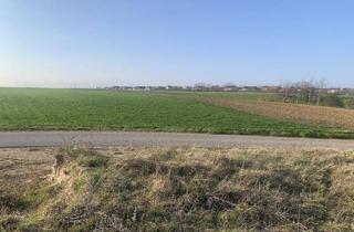 Grundstück zu kaufen in 2425 Nickelsdorf, Leben mitten in der Natur!