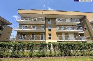 Penthouse kaufen in Zirbenweg, 8401 Kalsdorf bei Graz, Genießen Sie herrliche Sommertage in Ihrem idyllischen Eigenarten - viele weitere Wohnungen auch mit Balkon verfügbar!