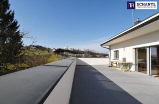 Penthouse kaufen in Reiteregg, 8113 Sankt Oswald bei Plankenwarth, Majestätisches Penthouse in den Weinbergen - Ein exklusives Refugium mit unvergleichlichem Panorama - in 8113 Sankt Bartholomä!