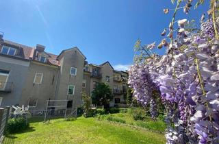 Wohnung kaufen in Prankergasse 44, 8020 Graz, Zentrale 4-Zimmer-Wohnung mit Gartenanteil im Innenhof