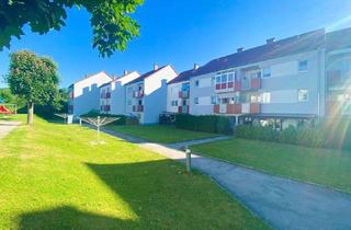 Wohnung mieten in Billingerstraße 17, 4240 Freistadt, WOHNEN IN FREISTADT - PREISWERTE 2 ZIMMER WOHNUNG