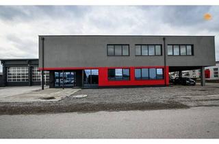 Büro zu mieten in 2525 Günselsdorf, TOP! - sehr schöne, geräumige Bürofläche in Günselsdorf