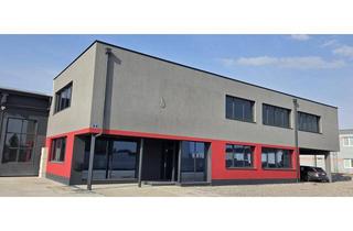 Büro zu mieten in 2525 Günselsdorf, TOP! - sehr schöne, geräumige Bürofläche in Günselsdorf