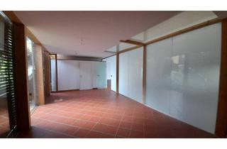 Büro zu mieten in 4055 Pucking, Repräsentative Gewerbefläche für Studio, Praxis, Ordination, Galerie, Büro u.ä. in Pucking