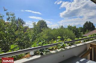 Wohnung kaufen in 2103 Langenzersdorf, *NEUER PREIS* - TRAUMHAFTE DACHGESCHOSSWOHNUNG MIT LOGGIA IN LANGENZERSDORF