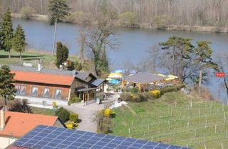 Geschäftslokal mieten in 3506 Krems an der Donau, Traumhafte Gastroliegenschaft in der Wachau am Fuße einer Ruine***Donauterrasse***perfekt für Edelgastronomie oder Gourmettempel