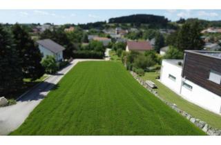 Grundstück zu kaufen in 2753 Dreistetten, Einzigartiger Bauplatz für Ihr Traumhaus in Dreistetten