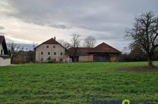 Grundstück zu kaufen in 4692 Niederthalheim, Für Bauträger, Grundsolides Bauland 5.410m², mit Altbau