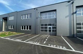 Lager mieten in 4844 Regau, SOFORTBEZUG! Betriebs-/ Produktions- oder Lagerhallen von 44 - 224 m² Fläche im Business Park Regau , 1A-Lage, Nähe A1 Westautobahn (Top 12a)