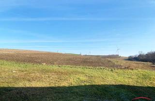 Grundstück zu kaufen in Talgasse, 2193 Erdberg, EINMALIGE GELEGENHEIT - Großes sonniges Grundstück und 2 große Ackerflächen!