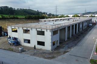 Lager mieten in 4490 Sankt Florian, Top Betriebs- / Lagerhallen von 59 - 230 m² Fläche im FE Business Park St. Florian / Asten zu vermieten, 1A-Lage Nähe A1 - PROVISIONSFREI! (Top 13a)