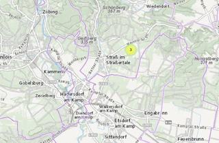 Immobilie kaufen in 3491 Straß im Straßertale, Straßer Hasel: 1,5 ha zertifizierter BIO Weingarten/Ackerboden in Straß am Straßertale zu verkaufen