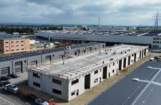 Lager mieten in 4490 Sankt Florian, Top Betriebs- / Lagerhallen von 59 - 230 m² Fläche im FE Business Park St. Florian / Asten zu vermieten, 1A-Lage Nähe A1 - PROVISIONSFREI! (Top 16a)