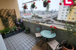 Wohnung mieten in Derfflingerstraße 6/12, 4240 Freistadt, Günstige und Neu Sanierte Wohnung im Obersten Stockwerk