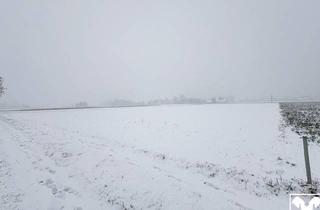 Grundstück zu kaufen in 4072 Alkoven, 1,5 ha Landwirtschaftlicher Nutzgrund/Acker Gstocket