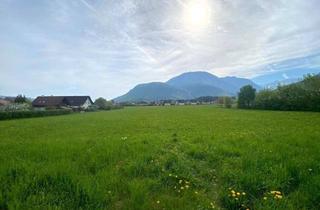 Grundstück zu kaufen in 9170 Ferlach, Großes GRUNDSTÜCK in ausgezeichneter Lage in Ferlach