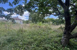 Grundstück zu kaufen in Thayagasse, 1210 Wien, 1210! Sonniges Grundstück auf EIGENGRUND in schöner Kleingartenanlage!