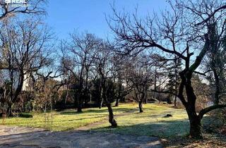 Einfamilienhaus kaufen in 2344 Maria Enzersdorf, NETTES EINFAMILIENHAUS in TOPLAGE mit BURGBLICK