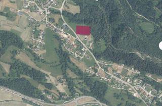 Grundstück zu kaufen in 9612 Labientschach, Widmung als Bauland - Dorfgebiet ist erfolgt !!!