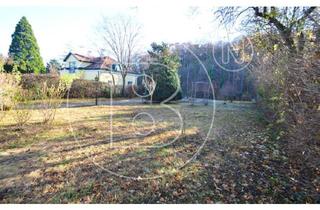 Grundstück zu kaufen in 2344 Maria Enzersdorf, Schöner Baugrund in zentraler Lage mit Altbestandsobjekt!