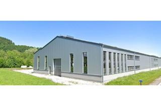 Lager mieten in Uferweg, 3204 Kirchberg an der Pielach, Hallenflächen zu vermieten (Lager, Produktion, Büro)