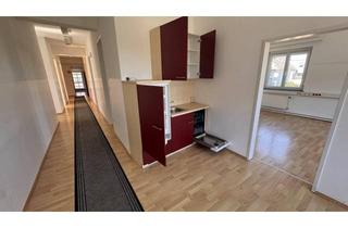 Büro zu mieten in 3100 Sankt Pölten, 8 moderne Büroräume I ab € 182,-- all in I Top-Lage I St. Pölten I flexibel anmietbar ab 12 m²