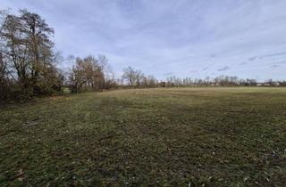 Gewerbeimmobilie kaufen in 4950 Altheim, Ebenerdiges Ackerland mit Brache