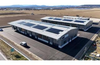 Büro zu mieten in Gewerbepark B17 / Ii / Straße 3 / Objekt 11, 2524 Teesdorf, Neubau-Gewerbehalle an der B17 – Erstbezug, sofort verfügbar | 154–399 m² | Fußbodenheizung, Photovoltaik, provisionsfrei