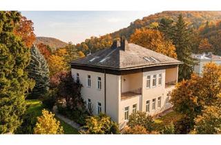 Wohnung kaufen in 3002 Purkersdorf, Historische Villa – Erstbezug nach Kernsanierung: Lifteinbau, Luftwärmepumpe, Wohnungen maßgeschneidert u. v. m.