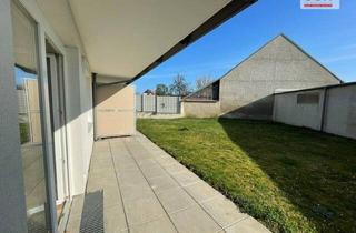 Genossenschaftswohnung in 2265 Drösing, Senioren 2-Zimmer Wohnung in Ruhelage inklusive Heizkosten
