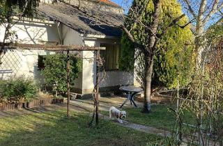 Haus kaufen in 2352 Gumpoldskirchen, Schönes Grundstück mit älterem Wohnhaus in Gumpoldskirchen