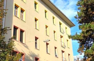 Wohnung kaufen in Hirtengasse, 8020 Graz, Grazer Altbautraum mit Balkon – Stilvoll wohnen in der Hirtengasse
