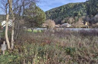 Grundstück zu kaufen in 3184 Türnitz, schöner, ebener Baugrund