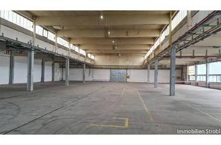 Lager mieten in 5114 Göming, Lagerhalle mit 2.008 m² nahe Oberndorf zu mieten