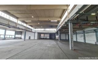 Lager mieten in 5114 Göming, Lagerhalle mit 2.008 m² nahe Oberndorf zu mieten